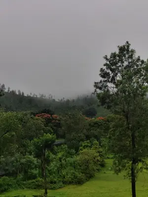 a misty hillside with trees and flowers in a field at Edenvilla in Vālpārai