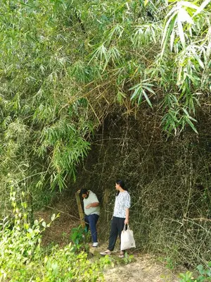 two women walking in front of a tree at Bhuvanam homestay in Kalpetta