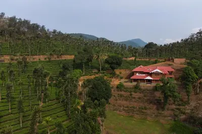 a house on the side of a hill in a field at StayVista at Regal Retreat 5BR - Big Villa with Pvt Pool in Wayanad