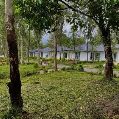 Spicy Nest Resort