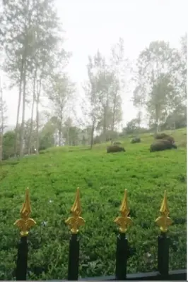 a group of animals in a field behind a fence at Franc Villa - Kothagiri in Kotagiri
