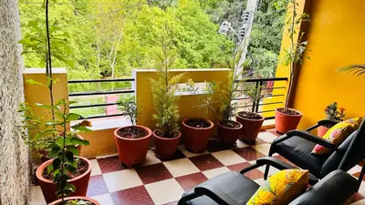 a balcony with a lot of plants in pots at RAATREE in Mysore