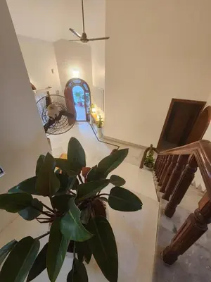 a living room with a potted plant and a staircase at RAATREE in Mysore