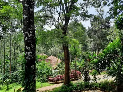 a view of a garden with trees and flowers at Willow Resorts Wayanad in Ambalavayal