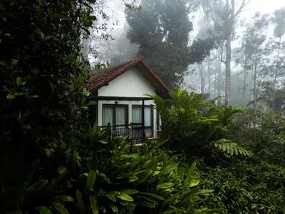a small house in the middle of a forest at Willow Resorts Wayanad in Ambalavayal