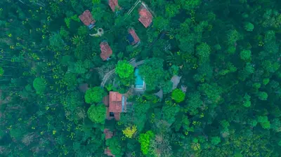 an aerial view of a house in a forest at Willow Resorts Wayanad in Ambalavayal