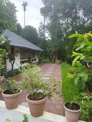 a garden with three large pots of plants at CELESTIAL HOMESTAY in Pinangode