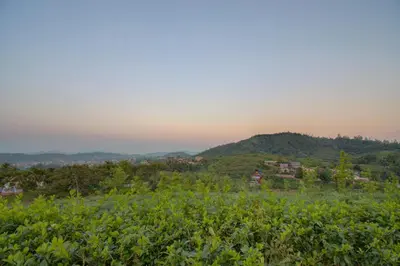 a view of a farm with a mountain in the background at Woodstock Resorts in Madikeri