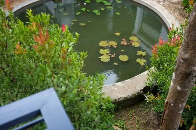a pond with water lilies in a garden at B'camp Resorts & Homestays in Wayanad