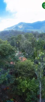 a view of a forest of trees with mountains in the background at Safari Hills in Vayittiri