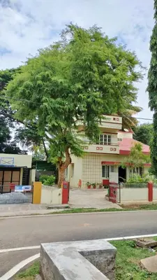 a building with a tree in front of a street at Raintree Garden in Mysore