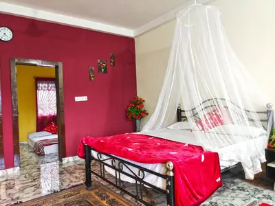 a bedroom with a bed with a mosquito net at Mannat Inn (Peace Homestay) in Mysore