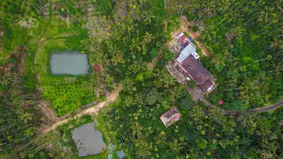 an overhead view of a garden with ponds and trees at Wayanad Palm Grove Retreat G Floor in Sultan Bathery