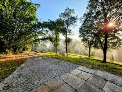 a cobblestone path in a park with trees at Bamboo Grove in Mānantoddy