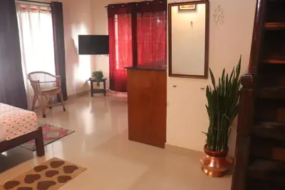 a living room with a mirror and a potted plant at Coorg Northbreeze Estate stay in Madikeri