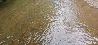 a view of a body of water at SHI's Peaceful Oasis near Isha Adiyogi, Kovai Kuttralam Waterfalls & Karunya University in Alāndurai