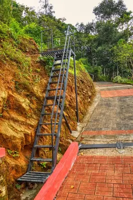 a ladder on the side of a hill at Ende Wayanad Resort in Koroth
