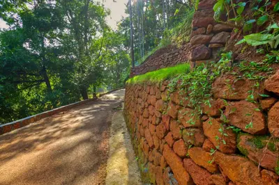 a stone wall next to a dirt road at Ende Wayanad Resort in Koroth