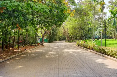 a walkway in a park with trees and grass at Club Mahindra Golden Landmark, Mysuru in Mysore