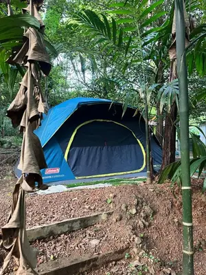 a blue tent is set up in a forest at Dragster Tents in Kizhake Chālakudi