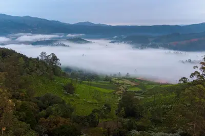 a foggy valley in the mountains with trees and a field at StayVista at Little Heaven with Breakfast in Ooty