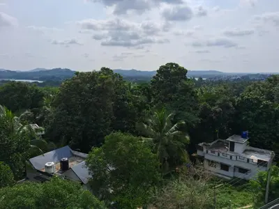 a view of a forest with houses and trees at Royal Holidays & Stays in Pattāmbi