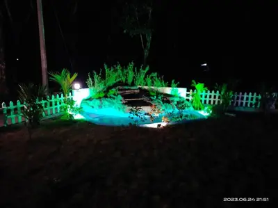a garden lit up at night with green lights at Merlys Fruit Garden - Resort at Thattekkad in Kotamangalam
