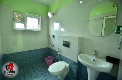 a bathroom with a sink and a toilet and a mirror at Blossom Spring Villa in Ooty