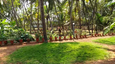 a garden with a lot of plants and palm trees at Ocean Green Kerala in Kannur