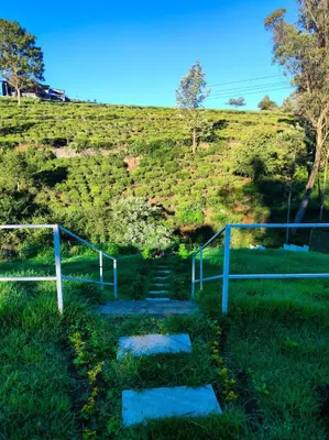 a stairway with steps leading up to a hill at Cloud & Mist Inn-Stay with Mountain Views in Kotagiri, Near Ooty in Kotagiri