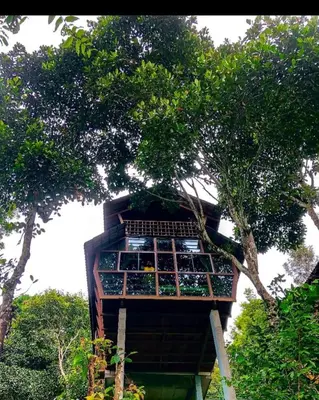 a tree house with a balcony on top of it at Tree House Wayanad in Muthanga