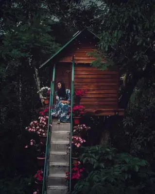 a woman is sitting in a tree house at Tree House Wayanad in Muthanga