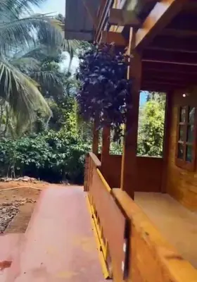 a house with a palm tree on the porch at Coorg Northbreeze Wooden Stay in Madikeri