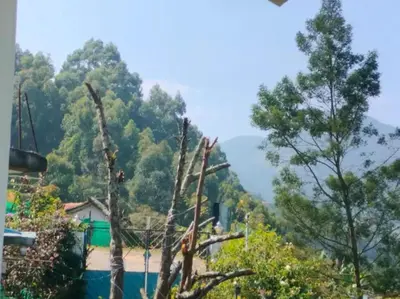 a view of a mountain with trees and a house at Misty Moonrise in Kūkkāl