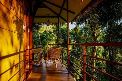 a porch with two chairs and an umbrella at Coffee Cradle Wayanad Luxuorios Private Tree House - Inside 2 Acre Coffee Plantation in Mananthavady