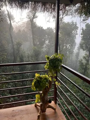 a plant sitting on a table on a balcony at Coffee Cradle Wayanad Luxuorios Private Tree House - Inside 2 Acre Coffee Plantation in Mananthavady