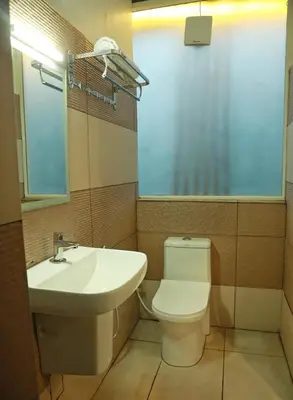 a bathroom with a white toilet and a sink at AROMA INN in Kalpetta