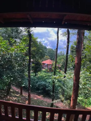 a view of a house in the forest from a window at Mahout Resort Wayanad - An Experiential Jungle Stay with Waterfall in Kalpetta