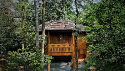 a wooden cabin in the middle of a forest at Mahout Resort Wayanad - An Experiential Jungle Stay with Waterfall in Kalpetta