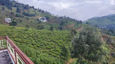 a view of a tea plantation on a hill at Sandy 4 Bhk Homestay - Only Adults Allowed in Ooty