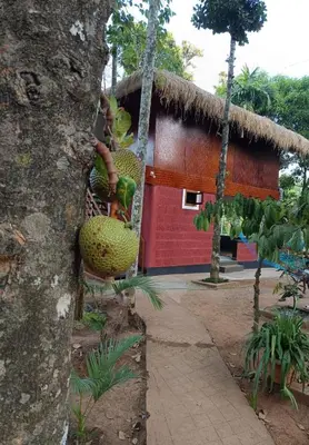 a person standing in front of a house with a tree at KURUVA SHORELINE WAYANAD in Chekadi