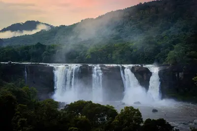 a waterfall in the middle of a forest at Bluemist Resorts in Athirappilly