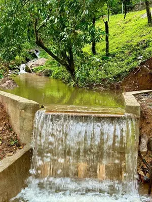 a waterfall in the middle of a park at Coorg Jungle Mist in Madikeri