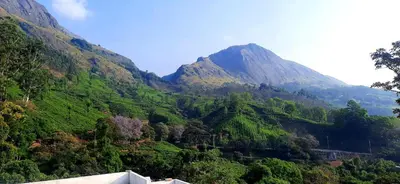 a view of a mountain with trees on it at Hiya Holidays in Munnar