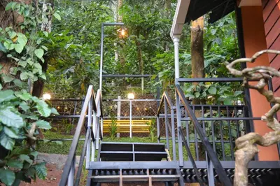 a set of stairs leading into a garden with a bench at TREE6 WAYANAD in Vythiri