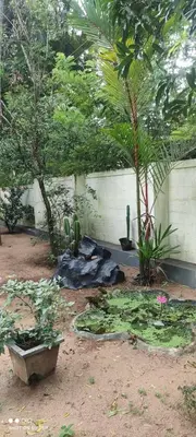 a garden with a bunch of plants and trees at Vyshnavi Home stay in Thanniyam