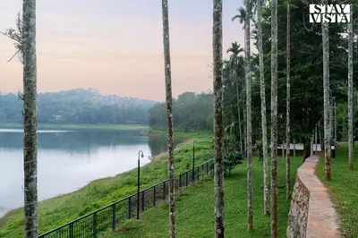 a view of a lake through a forest of palm trees at Rivera The Lake View with Indoor Games by StayVista in Wayanad