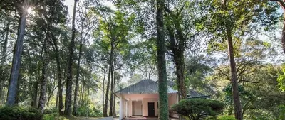 a small house in the middle of a forest at Elixir Woods Luxury Resort And Spa, Munnar in Munnar