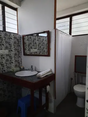 a bathroom with a sink and a toilet at Heritage Home, Hampe's in Mysore