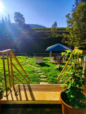 a set of stairs in a yard with the sun shining at Cloud & Mist Inn-Whole Villa Stay with Mountain Views in Kotagiri, Near Ooty in Kotagiri